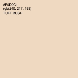 #F0D9C1 - Tuft Bush Color Image